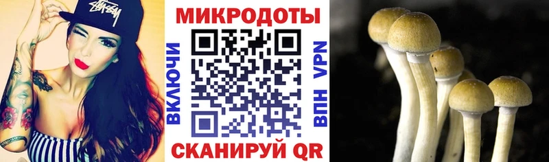 Псилоцибиновые грибы MAGIC MUSHROOMS  Красково 